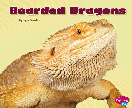 Beispielbild fr Bearded Dragons zum Verkauf von ThriftBooks-Atlanta