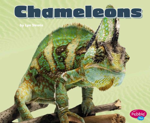 9781429633208: Chameleons (Pebble Plus: Reptiles)