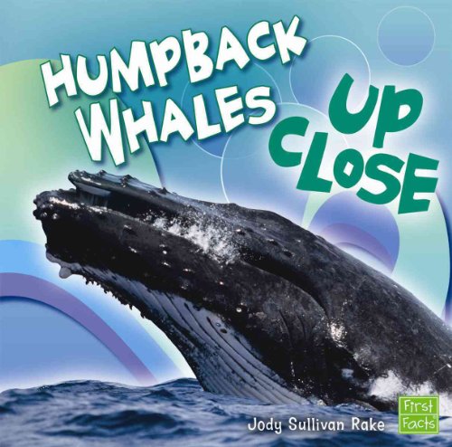 Stock image for Humpback Whales up Close for sale by Better World Books