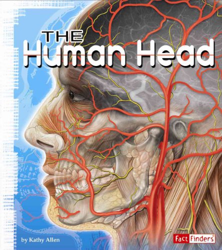 Beispielbild fr The Human Head zum Verkauf von Better World Books