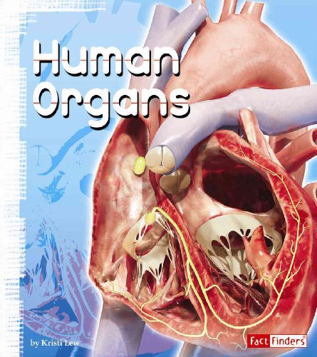 9781429633390: Human Organs (Fact Finders, Anatomy Class)