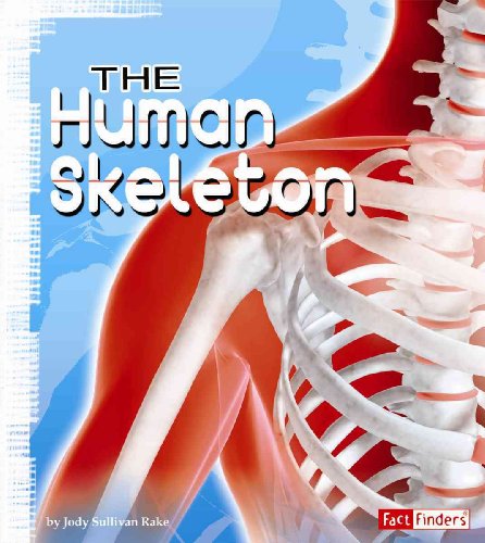 Beispielbild fr The Human Skeleton zum Verkauf von Better World Books