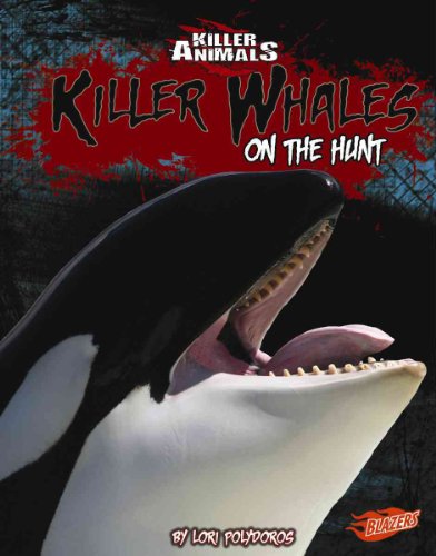 Killer Whales: On the Hunt (Killer Animals) (9781429633871) by Riehecky, Janet