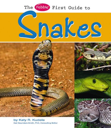 9781429634410: The Pebble First Guide to Snakes (Pebble First Guides)