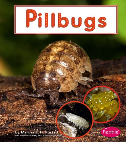 9781429634465: Pillbugs (Watch it Grow)