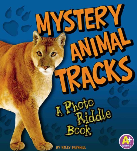 Beispielbild fr Mystery Animal Tracks : A Photo Riddle Book zum Verkauf von Better World Books