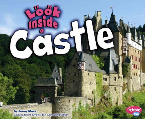 Imagen de archivo de Look Inside a Castle a la venta por ThriftBooks-Atlanta