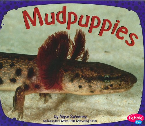 Imagen de archivo de Mudpuppies a la venta por Better World Books