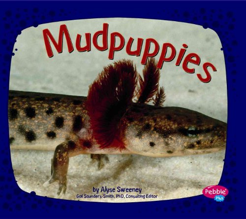 Stock image for Mudpuppies for sale by Better World Books