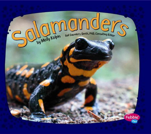 Beispielbild fr Salamanders zum Verkauf von Better World Books