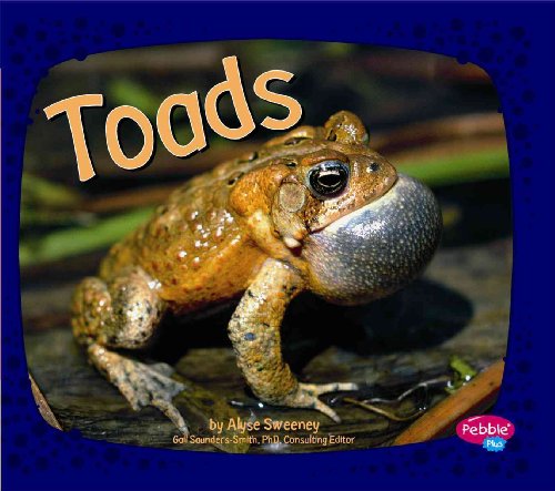 Beispielbild fr Toads zum Verkauf von Better World Books
