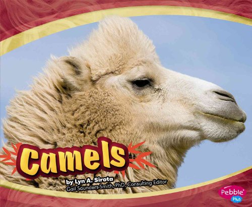 Stock image for Camels for sale by Better World Books: West