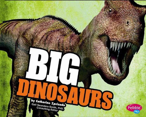 Beispielbild fr BIG Dinosaurs zum Verkauf von Better World Books