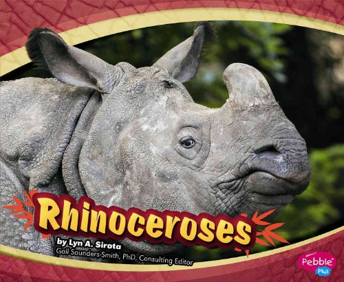 9781429640312: Rhinoceroses (Pebble Plus)