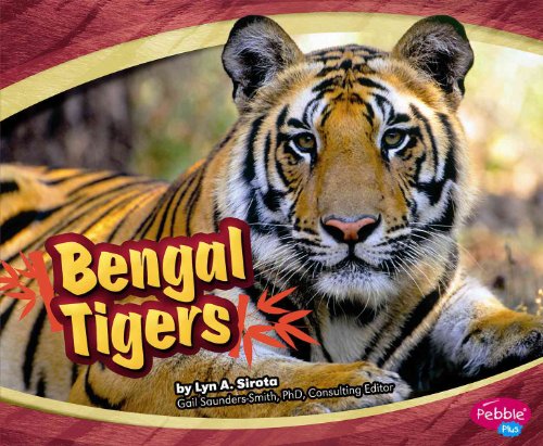 Stock image for Bengal Tigers (Pebble Plus: Asian Animals) for sale by Front Cover Books