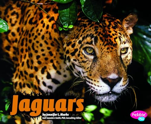 9781429644815: Jaguars (Pebble Plus Wildcats)