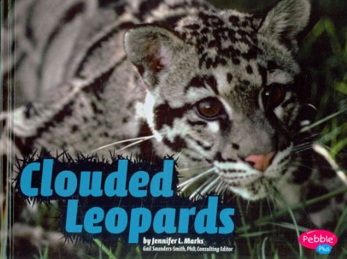 Beispielbild fr Clouded Leopards zum Verkauf von Better World Books