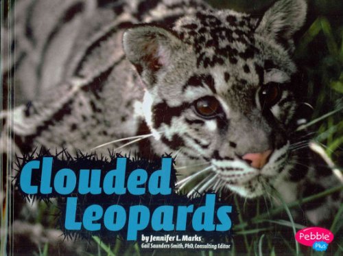 9781429644822: Clouded Leopards (Pebble Plus, Wildcats)