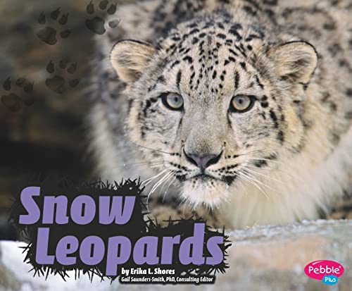 9781429644839: Snow Leopards (Pebble Plus Wildcats)