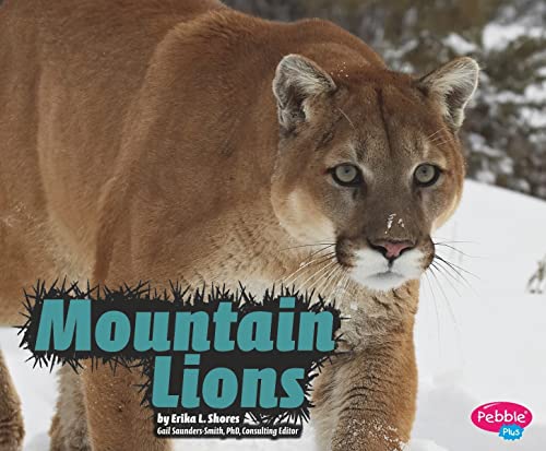 9781429644853: Mountain Lions