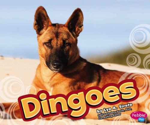 Stock image for Dingoes (Pebble Plus: Australian Animals) for sale by Books of the Smoky Mountains
