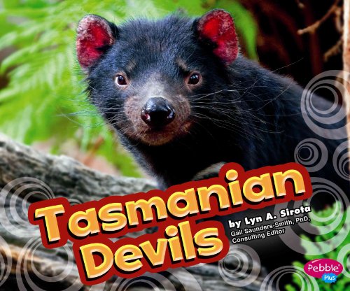 Stock image for Tasmanian Devils (Pebble Plus: Australian Animals) for sale by Front Cover Books