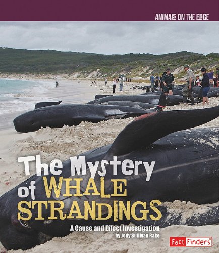 Beispielbild fr The Mystery of Whale Strandings : A Cause and Effect Investigation zum Verkauf von Better World Books