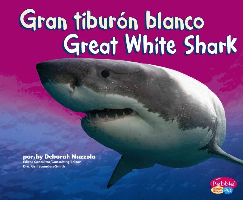 Stock image for Gran Tibur?n Blanco/Great White Shark for sale by ThriftBooks-Atlanta