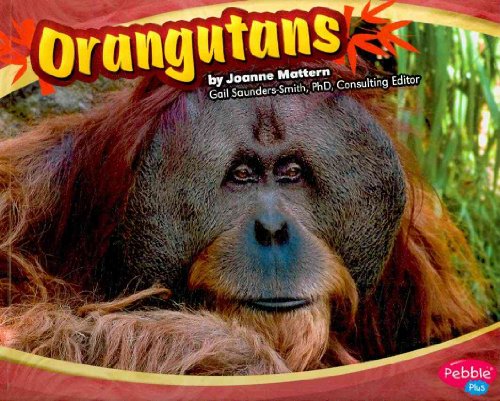 Stock image for Orangutans for sale by ThriftBooks-Atlanta