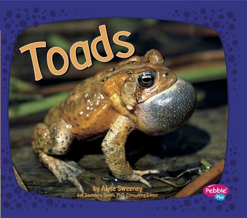 Stock image for Toads (Pebble Plus: Amphibians) for sale by Front Cover Books