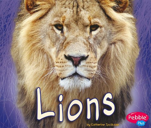 9781429648820: Lions (African Animals)