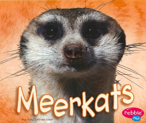 9781429648837: African Animals: Meerkats
