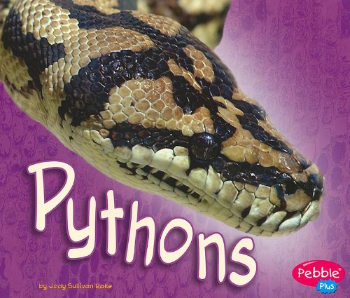 Imagen de archivo de Pythons (Pebble Plus: African Animals) a la venta por Goodwill of Colorado