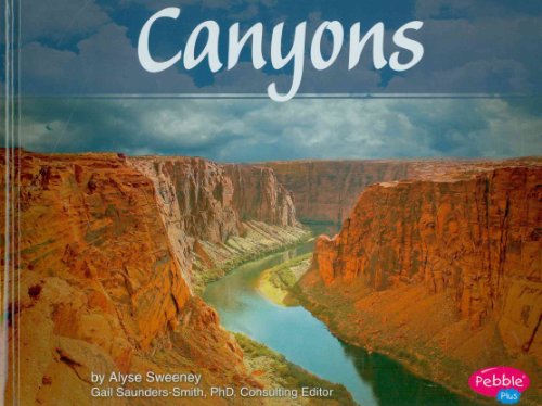 Beispielbild fr Canyons zum Verkauf von Better World Books