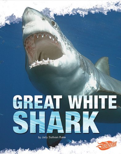 9781429650137: Great White Shark (Shark Zone)