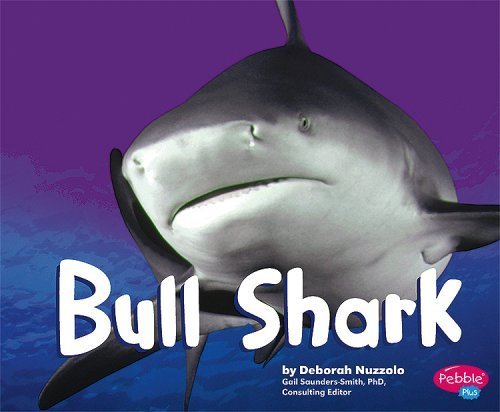 Stock image for Bull Shark [Scholastic] for sale by Better World Books