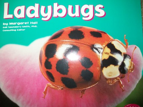 Stock image for Ladybugs [Scholastic] (Bugs, Bugs, Bugs!) for sale by Decluttr