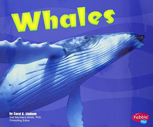 Beispielbild fr Whales [Scholastic] zum Verkauf von Better World Books