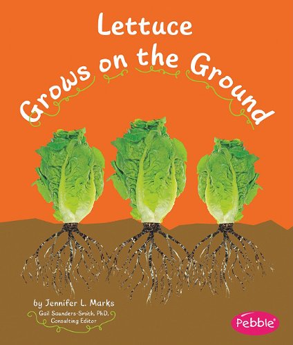 9781429652810: Lettuce Grows on the Ground (Pebble Books: How Fruits and Vegetables Grow)