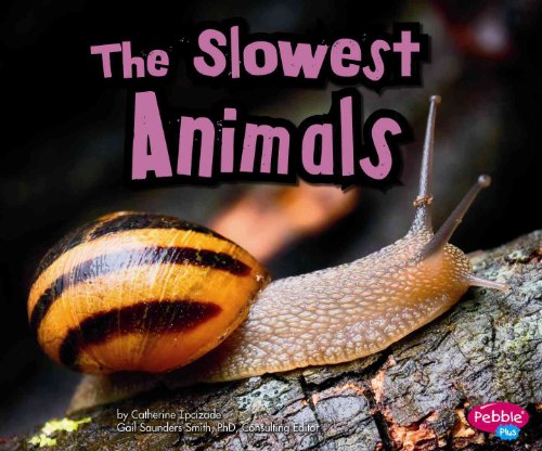 9781429653107: The Slowest Animals (Pebble Plus: Extreme Animals)