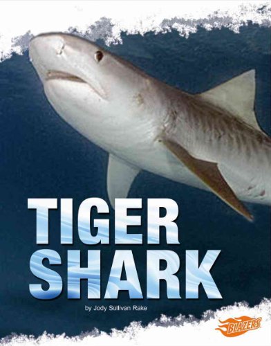 Stock image for Tiger Shark for sale by Better World Books: West