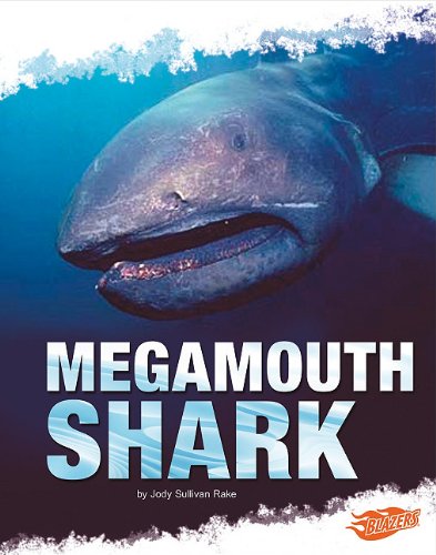Stock image for Megamouth Shark for sale by ThriftBooks-Dallas