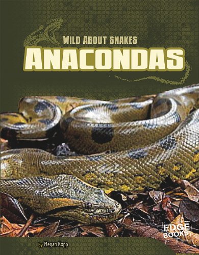 Imagen de archivo de Anacondas a la venta por Better World Books