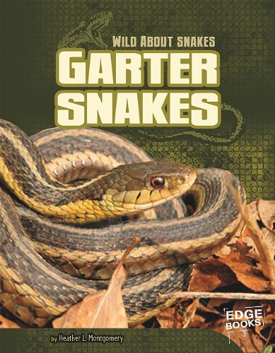 9781429654333: Garter Snakes (Edge Books: Wild About Snakes)