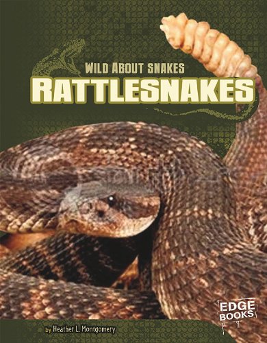 Imagen de archivo de Rattlesnakes (Edge Books: Wild About Snakes) a la venta por Irish Booksellers