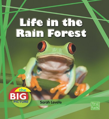 Life in the Rain Forest (Big Picture: Homes) - Sarah Levete