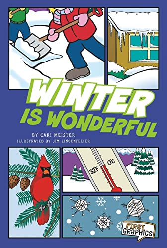 9781429656245: Winter Is Wonderful (First Graphics: Seasons)