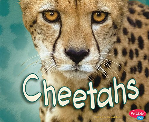 Beispielbild fr Cheetahs [Scholastic] zum Verkauf von Better World Books