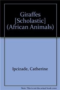 Imagen de archivo de Giraffes [Scholastic] (African Animals) a la venta por Hawking Books