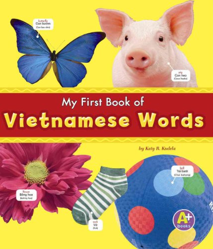Stock image for My First Book of Vietnamese Words for sale by Better World Books